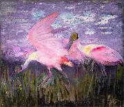 Roseate Spoonbills Abbott Handerson Thayer